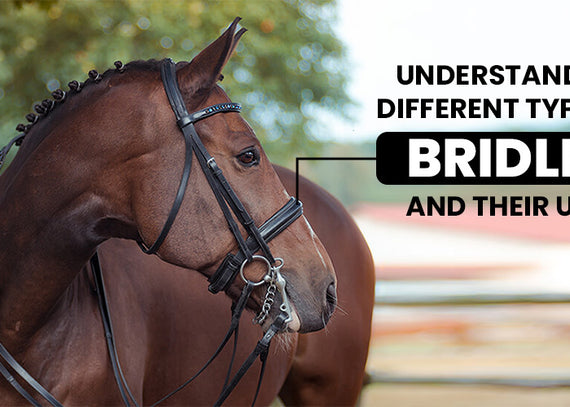 Understanding Different Types of Bridles and Their Uses