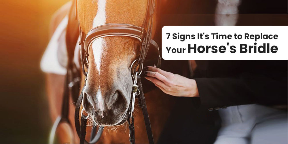 7 Signs It's Time to Replace Your Horse's Bridle