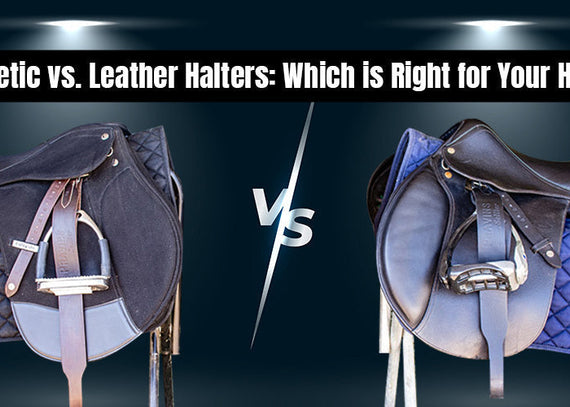 Choosing Between Synthetic and Leather Halters: Pros and Cons