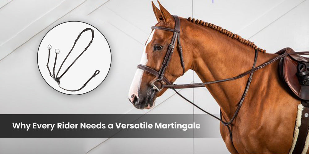 Why Every Rider Needs a Versatile Martingale