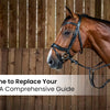 10 Signs It's Time to Replace Your Horse's Bridle