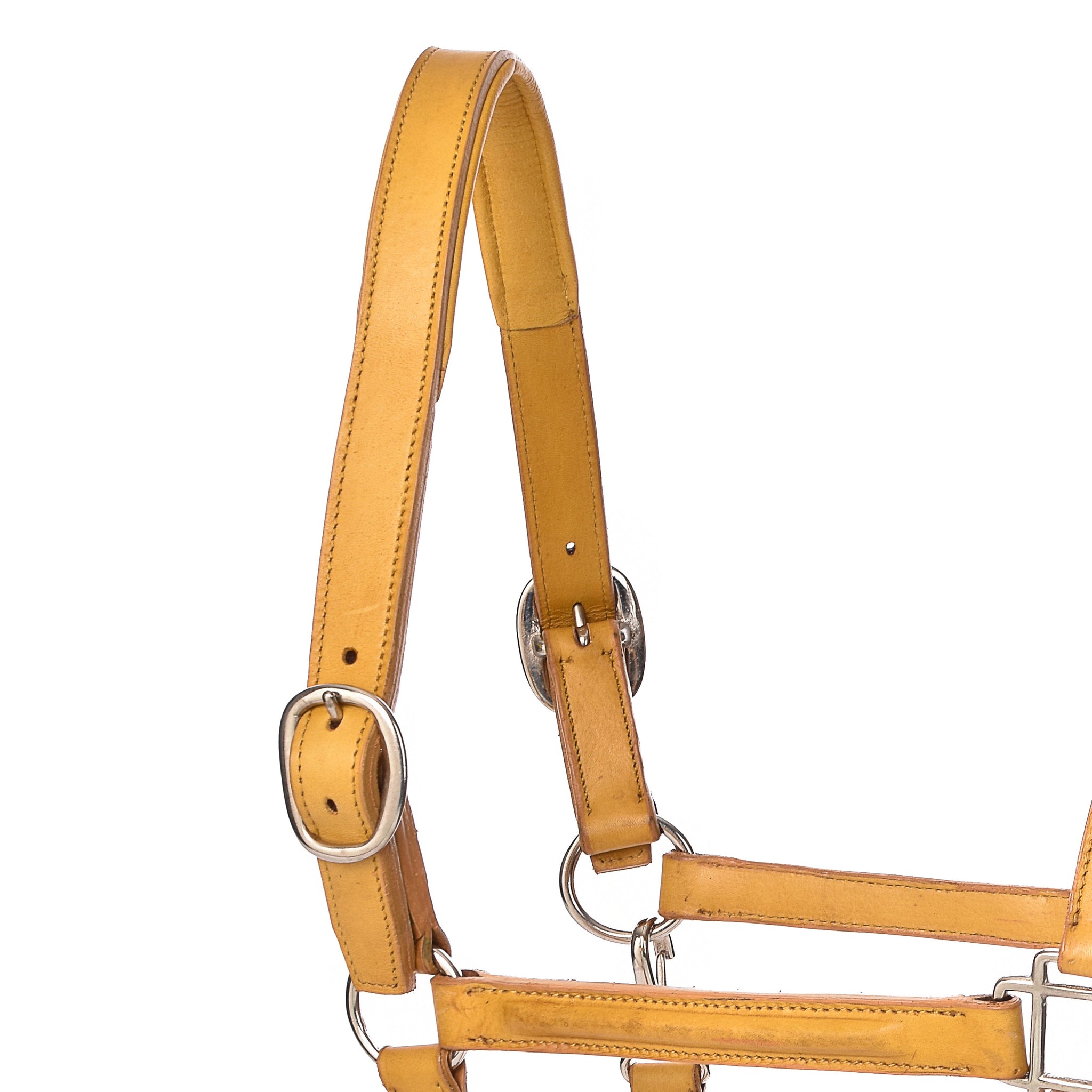 Derby Halters - Horse Halters