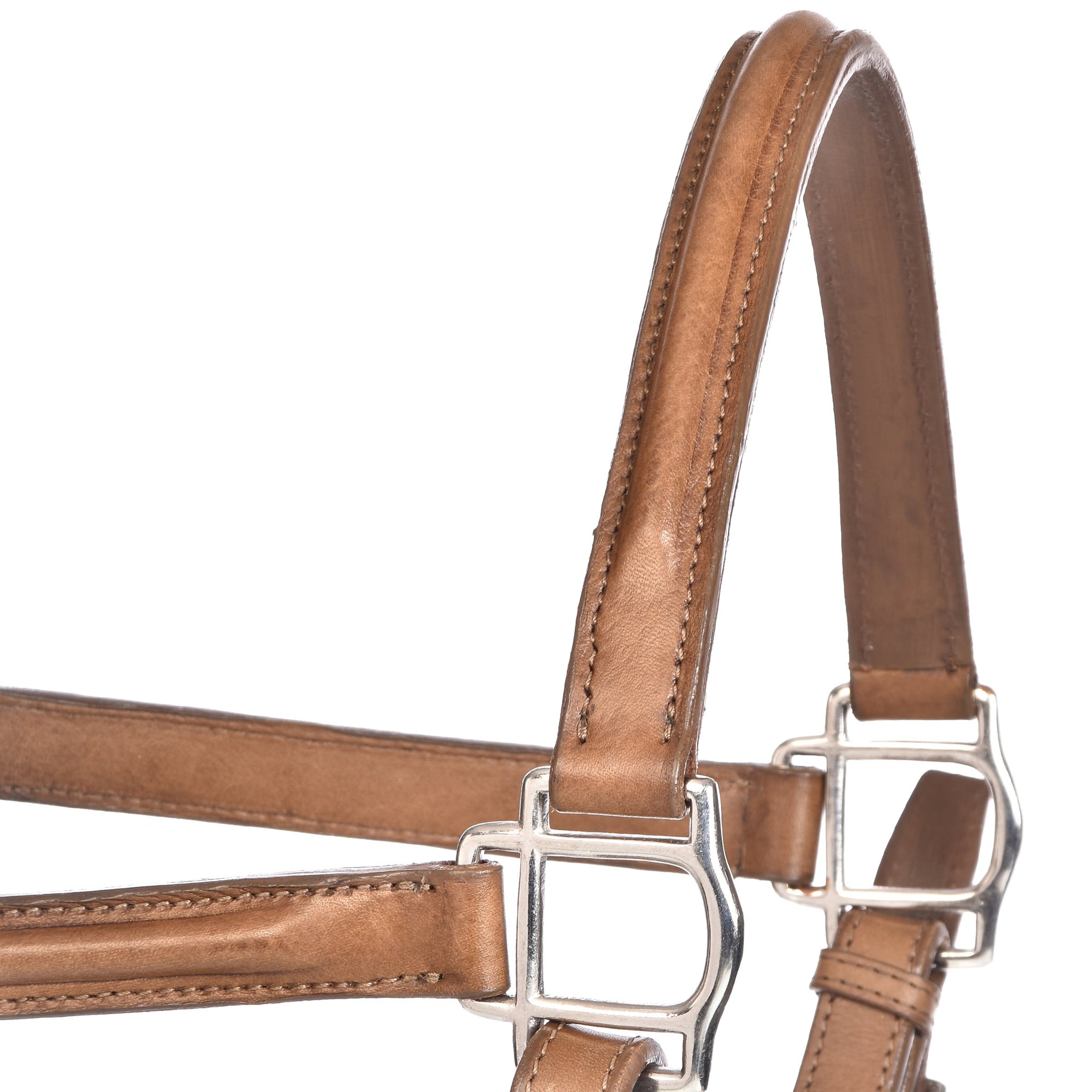 Derby Halters - Horse Halters