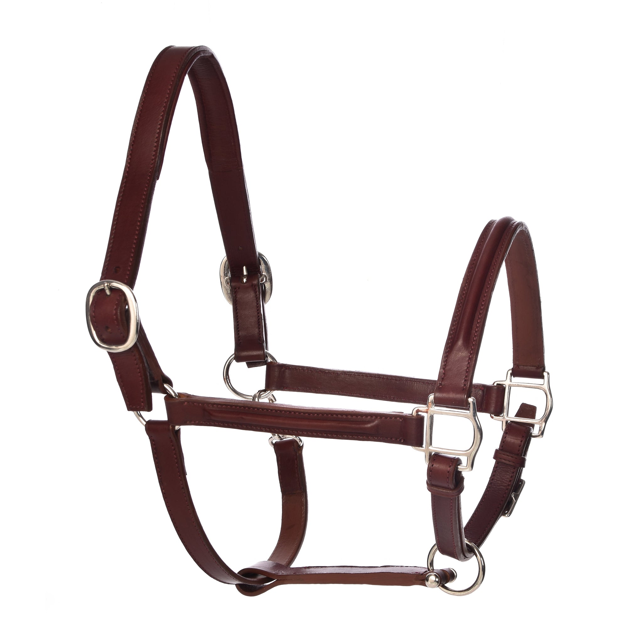 Derby Halters - PONY / Bordeaux - Horse Halters